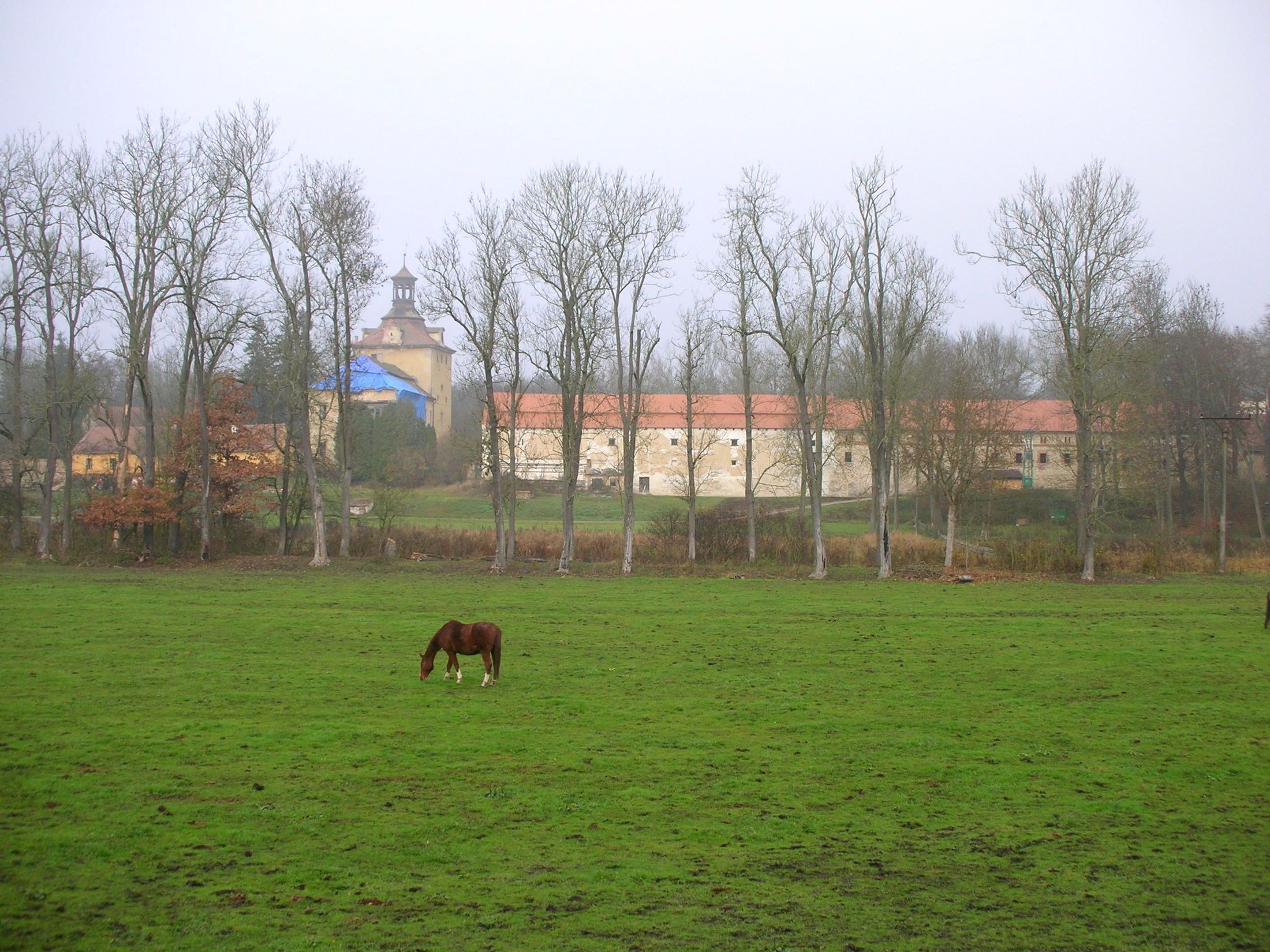 Košátky